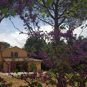 Il Montedoro Villa Guardistallo